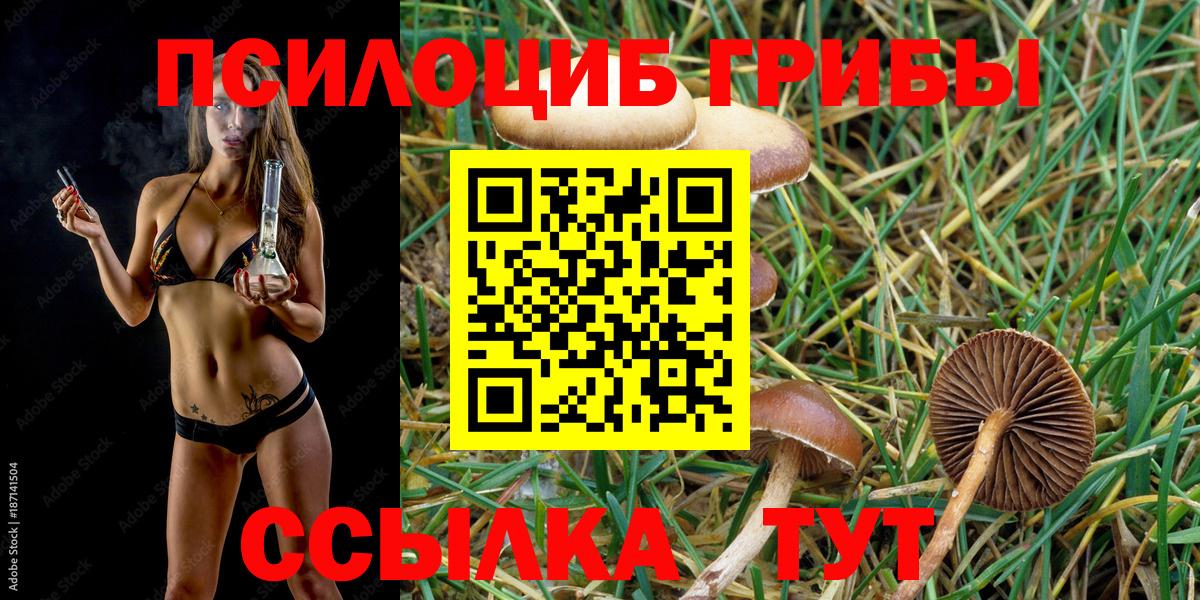 Псилоцибиновые грибы ЛСД Донской