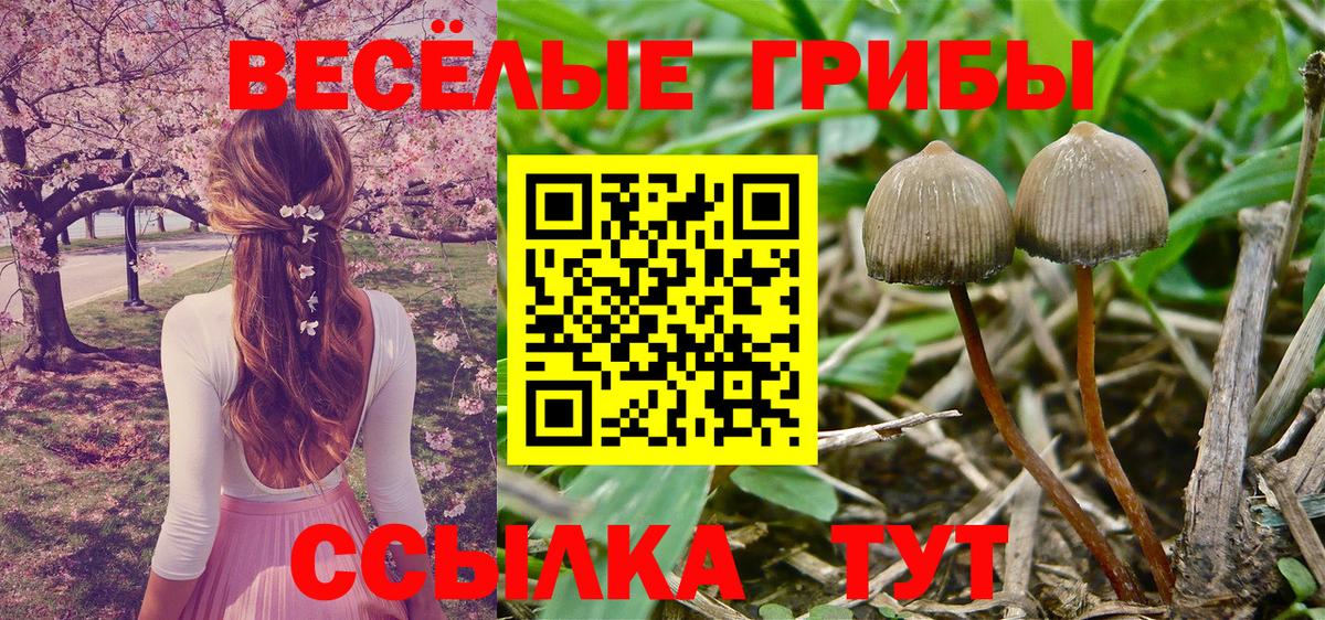 Донской  где купить наркотик  Вход с VPN  Псилоцибиновые грибы Magic Shrooms 